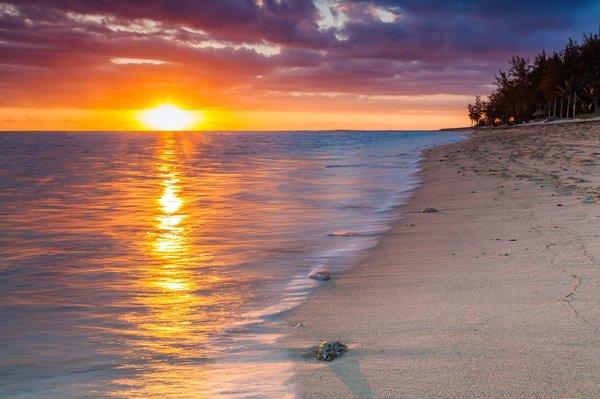 L'île de la Réunion : guide pour les amoureux de l'écotourisme et de la nature